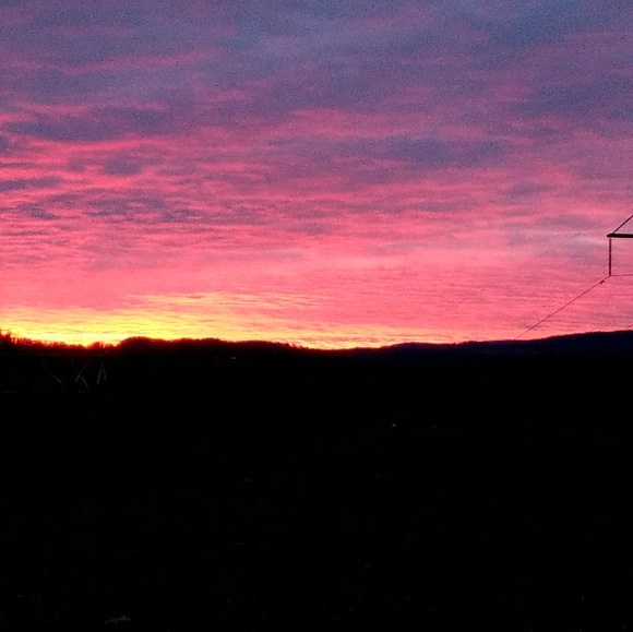 Meet your Posher, T - Picture 1 of 1